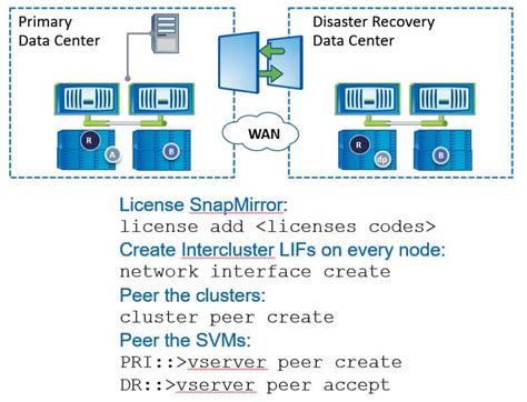 snapmirror netapp step by.